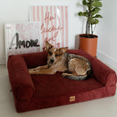 Cama Ortopédica Pacco Sense Canele C-Core®